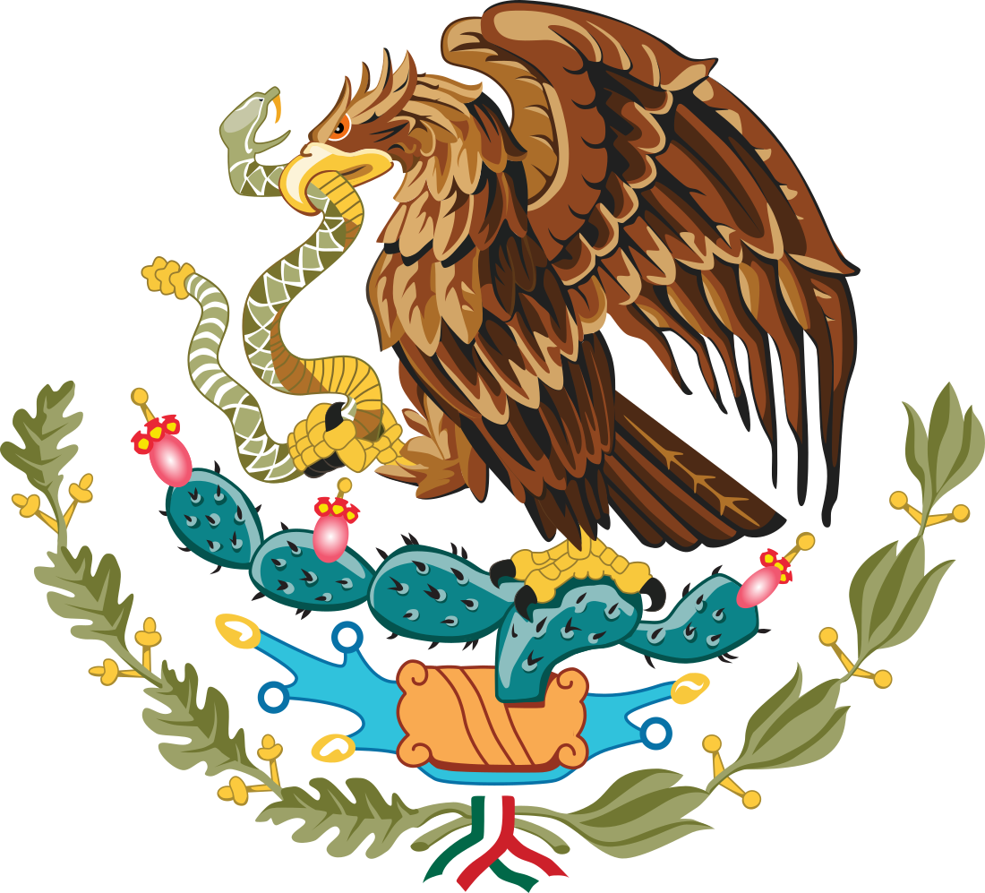 Historia 7